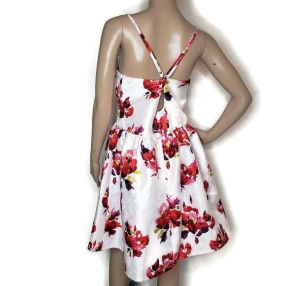 Bailey Blue white and red large print Print Sleeveless A-Line sun dress sz 14 - Picture 2 of 6